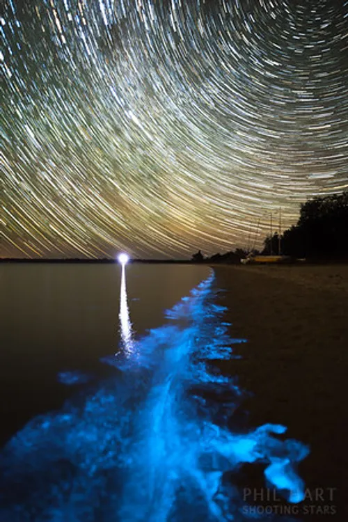 Gippsland Lakes Bioluminescence — Victoria