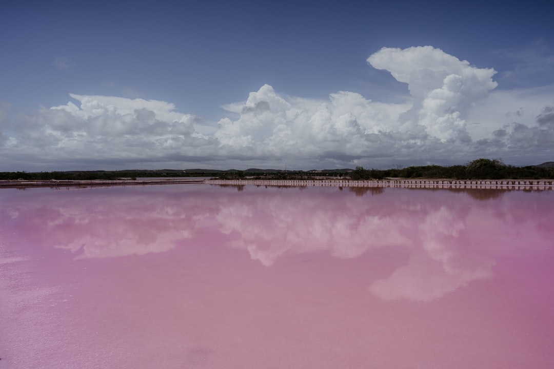 Lake Hillier Pink Lake Phenomenon — Middle Island